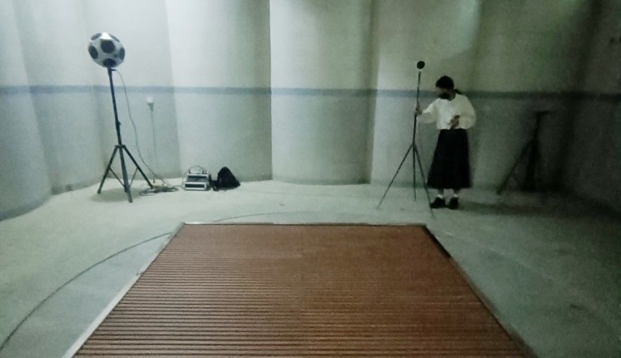 Guangzhou Wuyang Yiguan Acoustic Materials Co., Ltd. производственная линия производителя